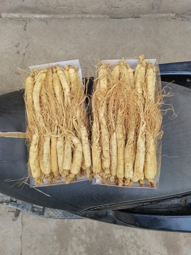 长白山六年大货白参须，一手货源，质量保证，回头客超多。