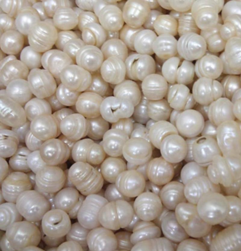 振兴药材批发供应珍珠个天然珍珠中药材珍珠
