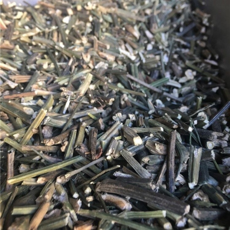 穿心莲川心连苦胆草无硫穿心莲保庆药业批发