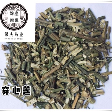 穿心莲川心连苦胆草无硫穿心莲保庆药业批发