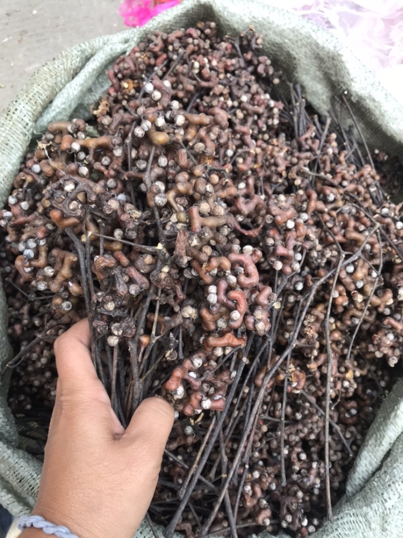 拐枣万寿果野生果泡酒广东省优先发顺丰有折扣可走班车