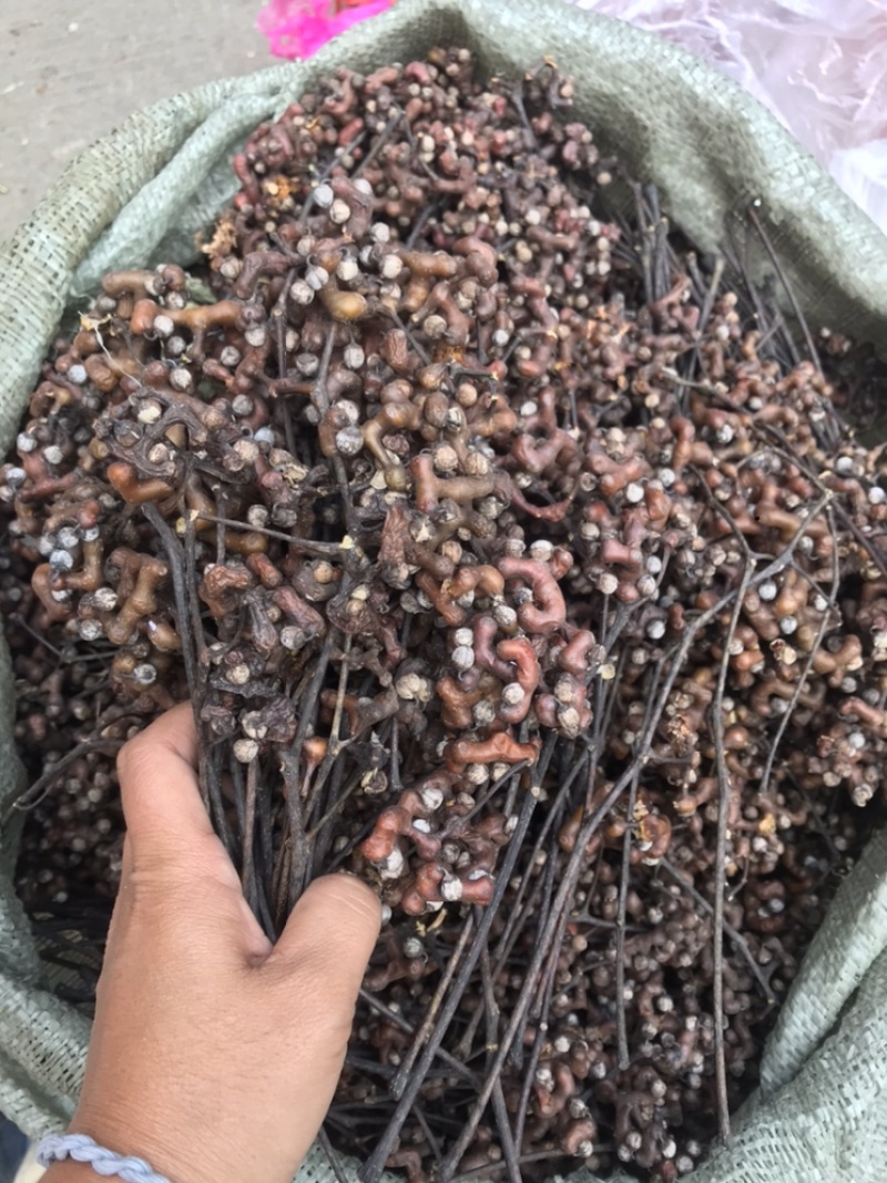 拐枣万寿果野生果泡酒广东省优先发顺丰有折扣可走班车