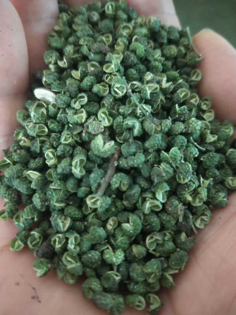 花椒苗出售，花椒保底价收购，技术指导，免费服务