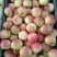 辽宁省海城市南果梨产地供应链一件代发诚招全国各大电商合作