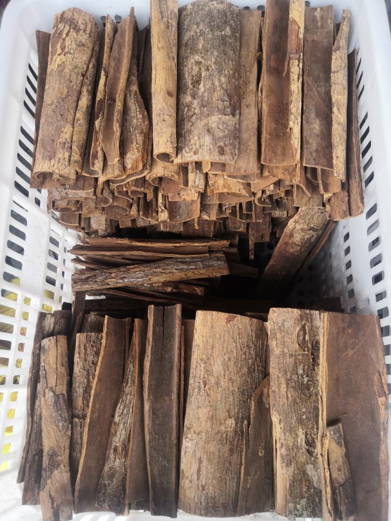卡宾达树皮泡酒料量大从优云南新货