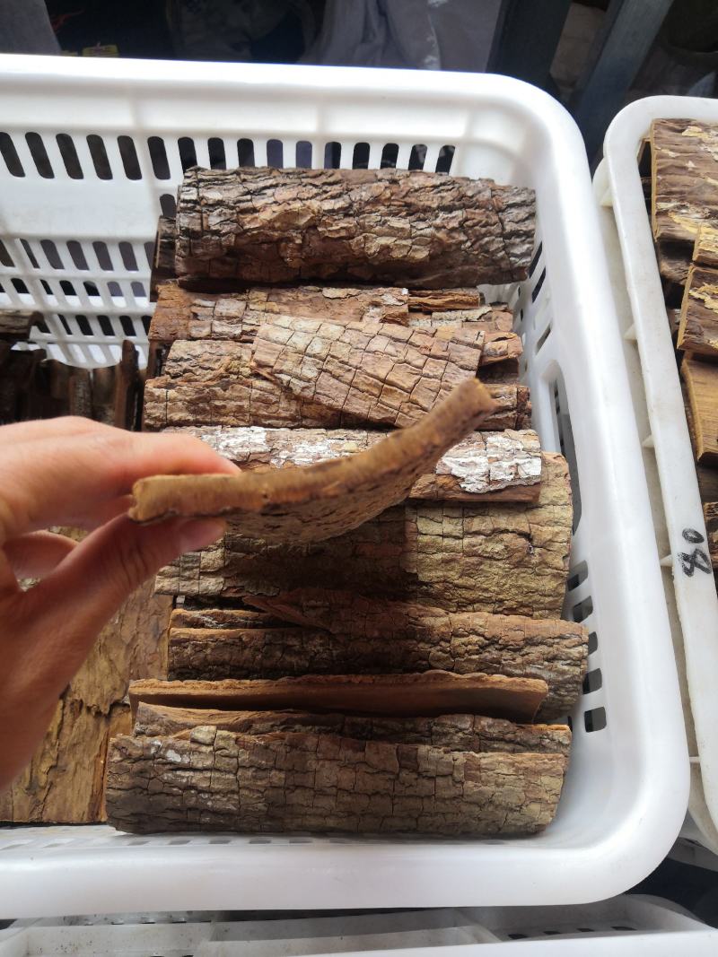 卡宾达树皮泡酒料量大从优云南新货