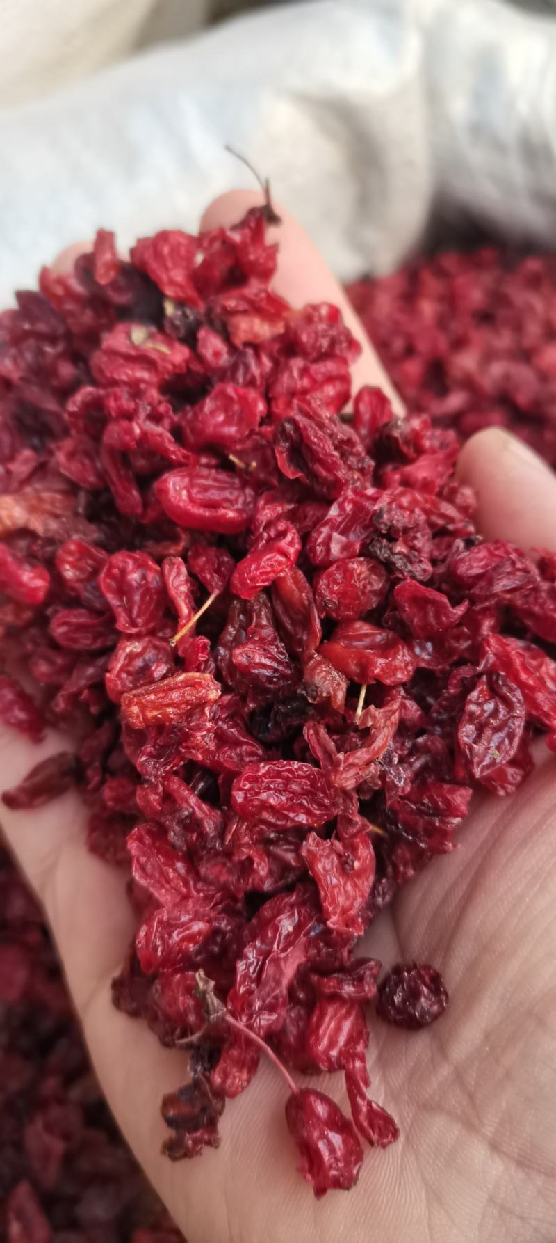 山萸肉山芋肉山茱萸肉山茱萸制山萸肉一公斤起批