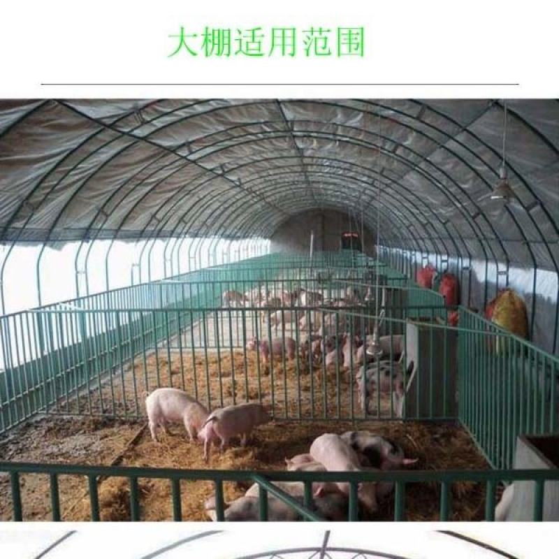 温室大棚骨架配件蔬菜养殖农业大棚养鸡养猪全套钢管椭圆形钢