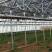 温室大棚骨架配件蔬菜养殖农业大棚养鸡养猪全套钢管椭圆形钢
