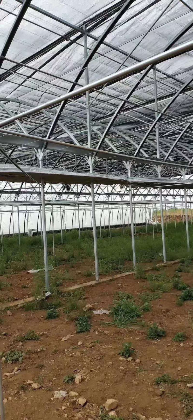 温室大棚骨架配件蔬菜养殖农业大棚养鸡养猪全套钢管椭圆形钢