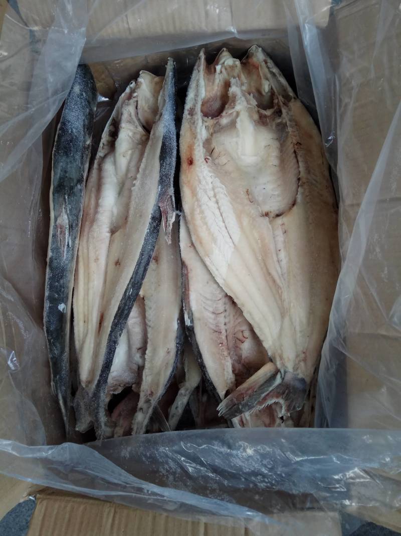 越南进口原味，无反骨巴沙鱼
