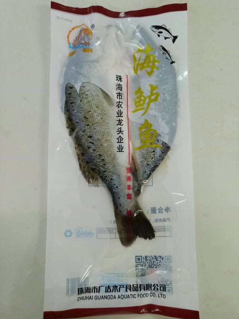海鲈鱼，金虹鲷，金目鲈，