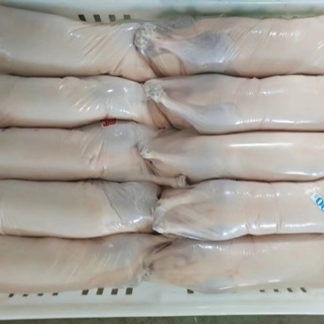 本公司沂蒙樱桃谷瘦肉型白条鸭
