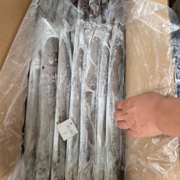 印尼拖网带，一手货源，印尼自己的加工厂，各规格齐全