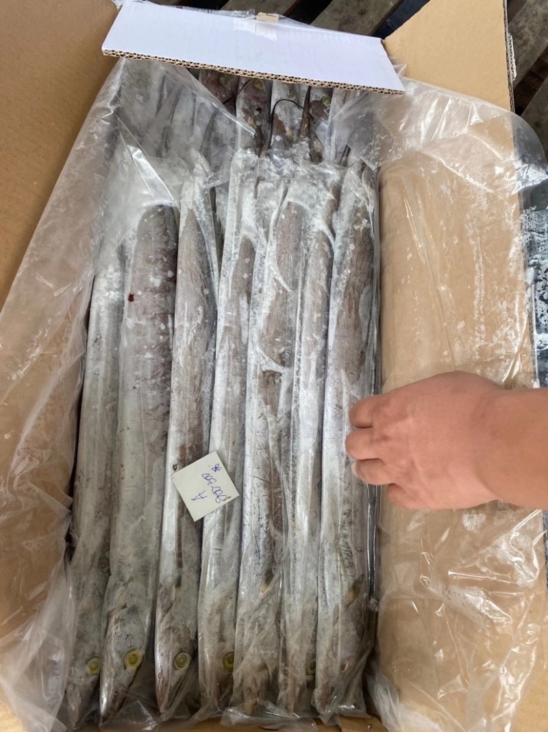 印尼拖网带，一手货源，印尼自己的加工厂，各规格齐全