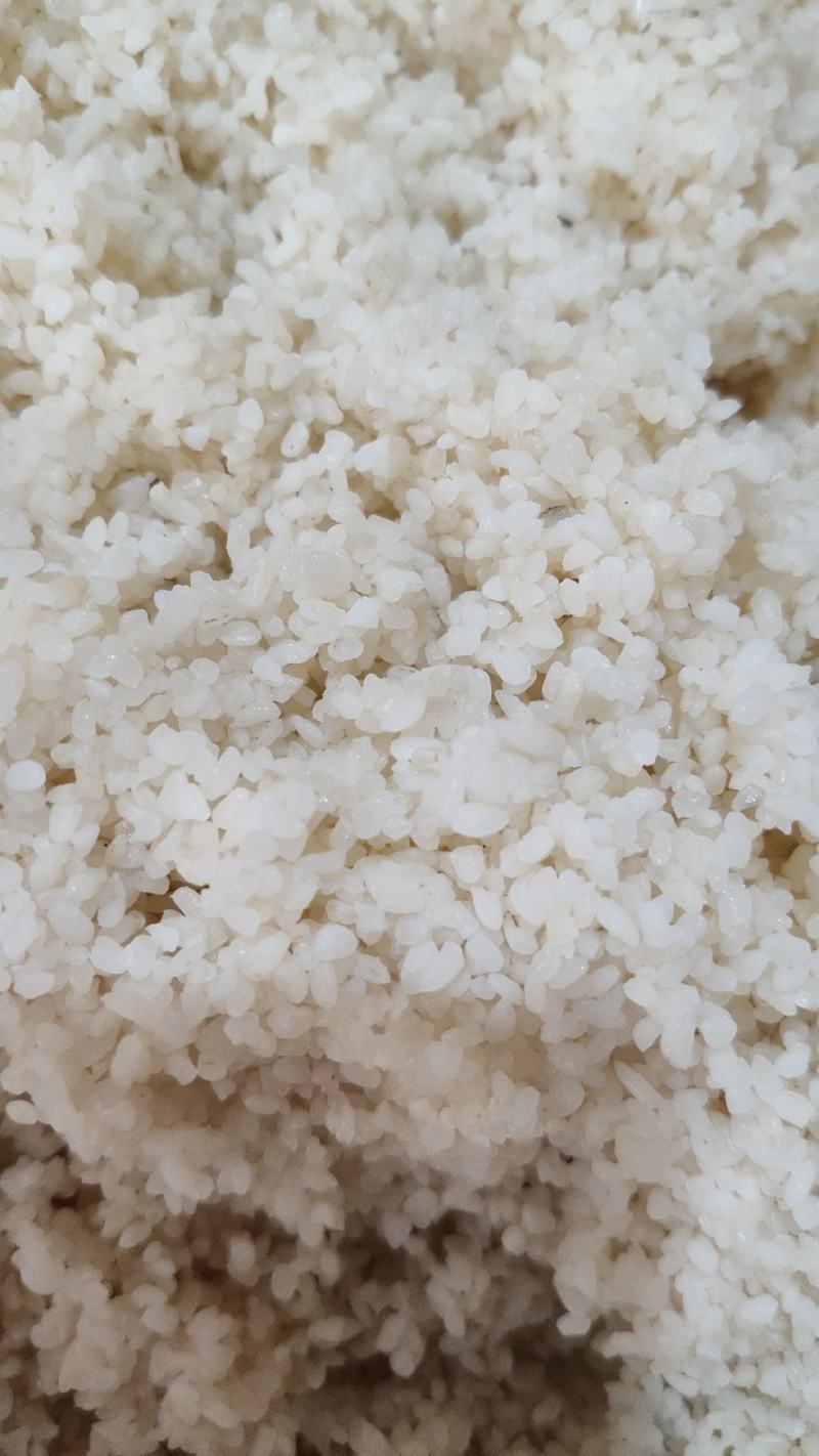 桂林纯米酒50度，欢迎咨询