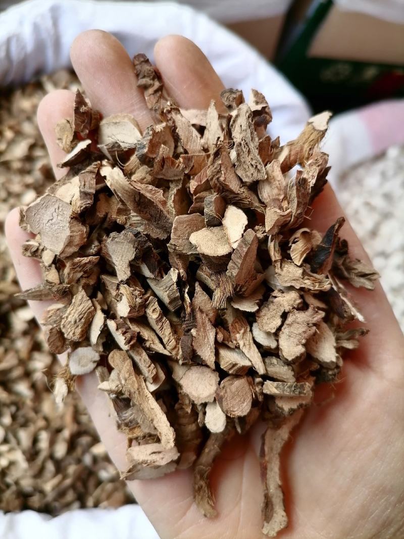 石菖蒲包邮中药材石昌浦正品石菖蒲