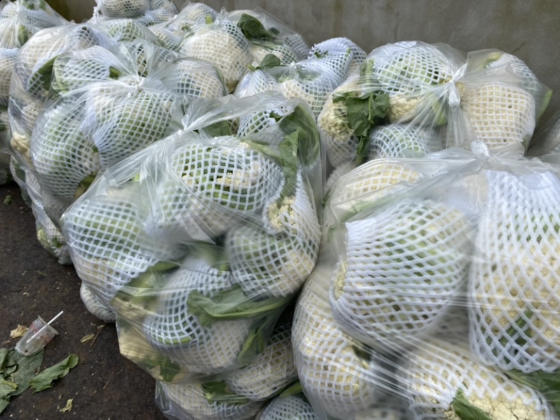 现货宜昌松花菜湖北当阳菜花散花菜2-3斤