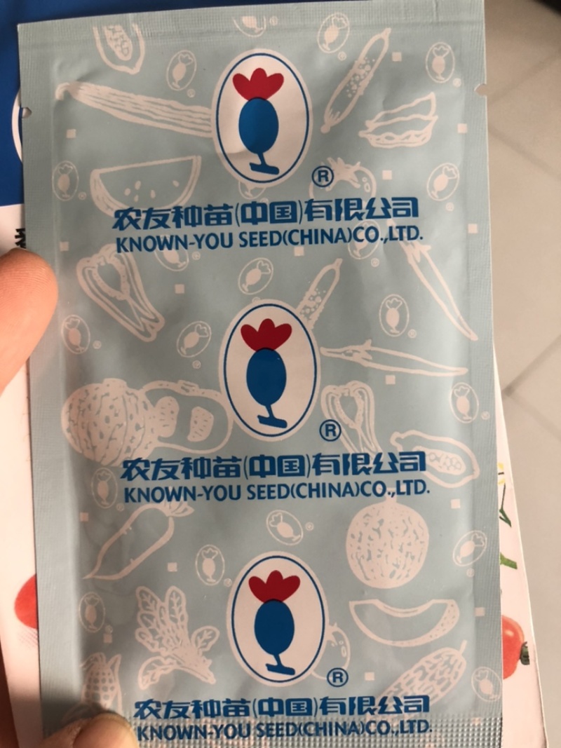 小西红柿种千禧种子抗病毒千禧种子圣女果种子