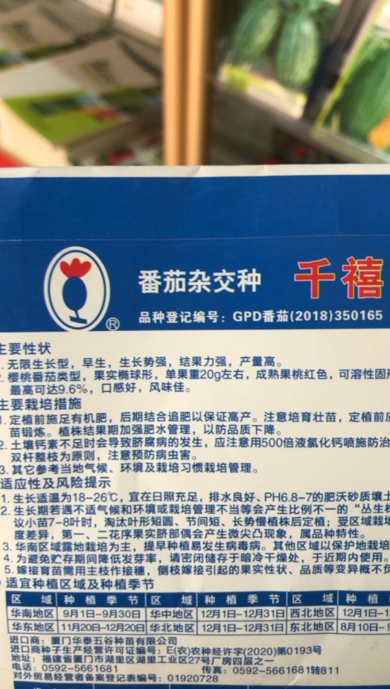 小西红柿种千禧种子抗病毒千禧种子圣女果种子