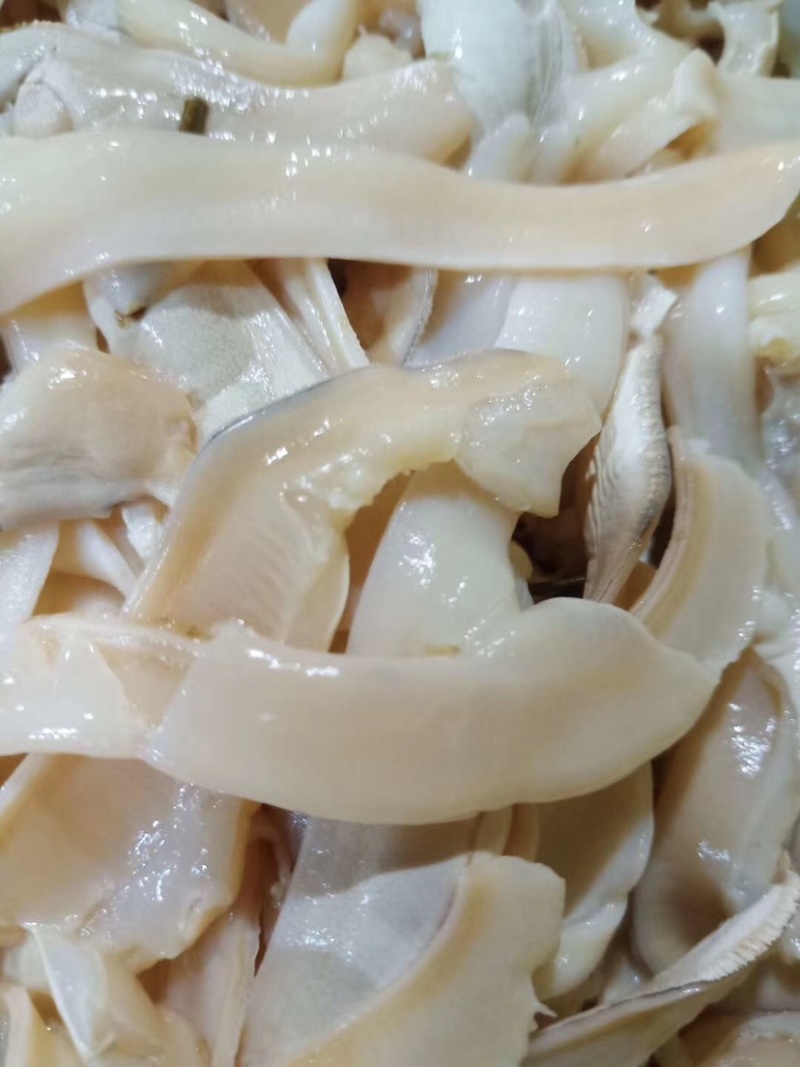 珍珠蚌肉珍珠蚌裙边干净新鲜