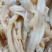 珍珠蚌肉珍珠蚌裙边干净新鲜