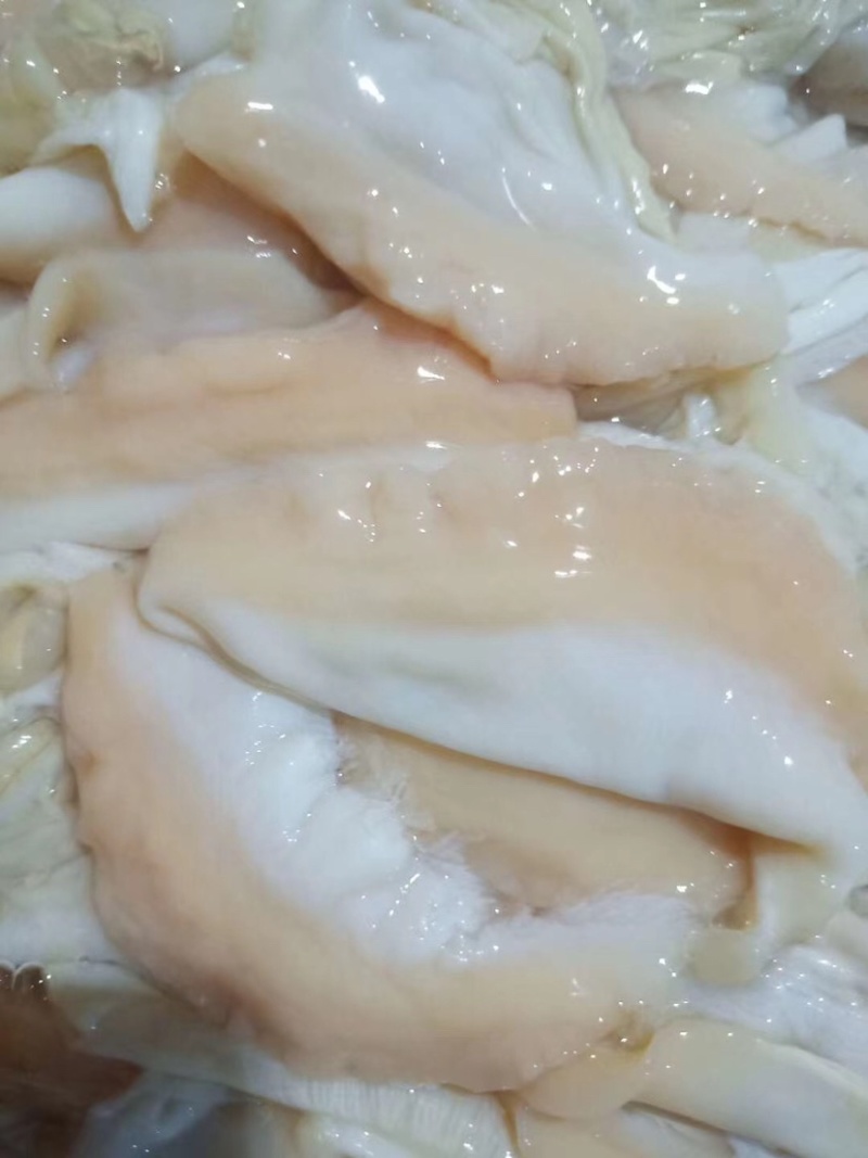 珍珠蚌肉珍珠蚌裙边干净新鲜