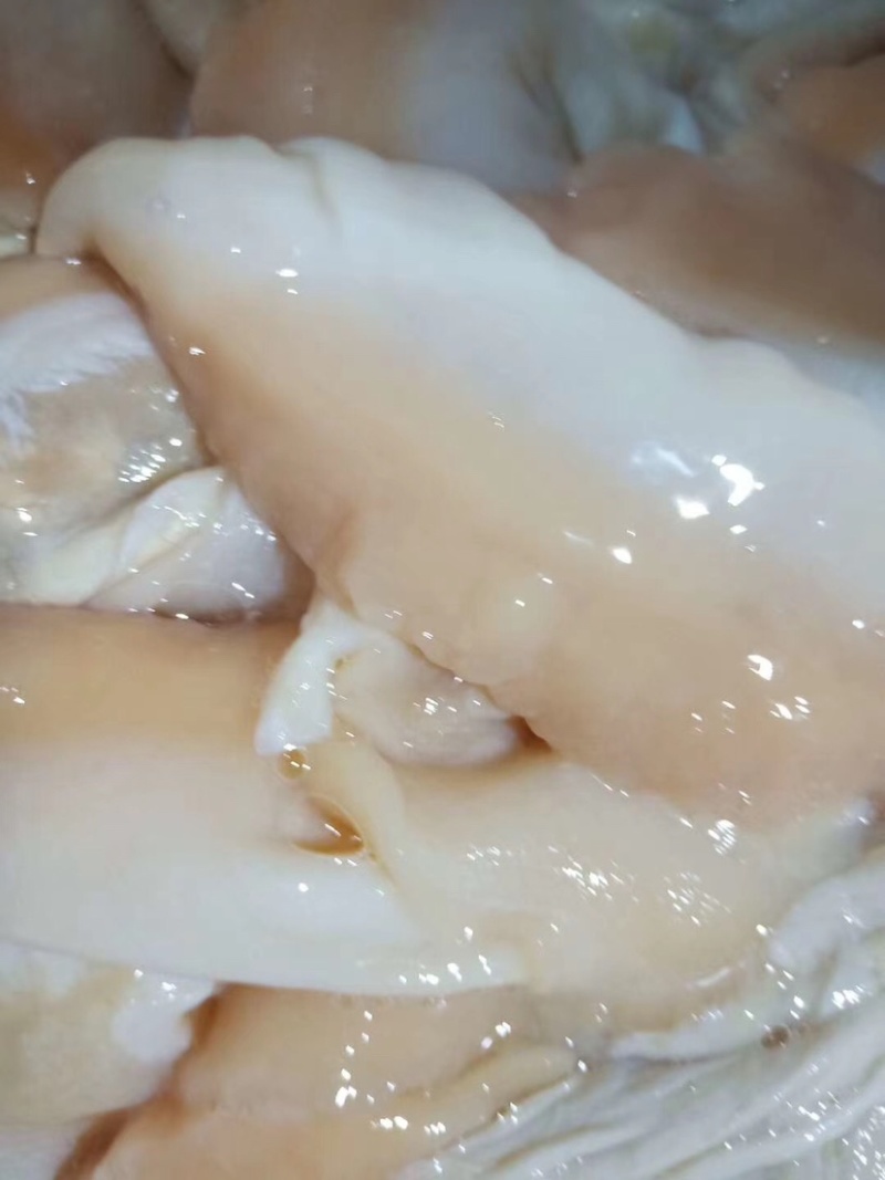 珍珠蚌肉珍珠蚌裙边干净新鲜