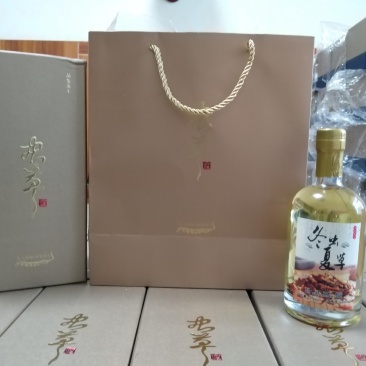 冬虫夏草酒～采用青稞酒泡制