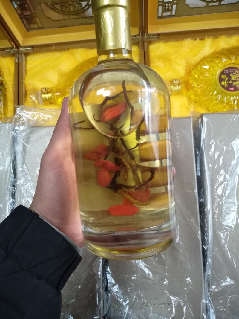 冬虫夏草酒～采用青稞酒泡制