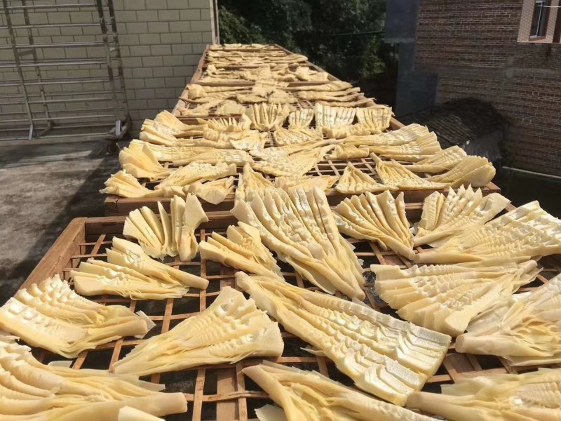 广西桂林笋干2022新鲜笋尖肥厚脆嫩产地直供欢迎咨询