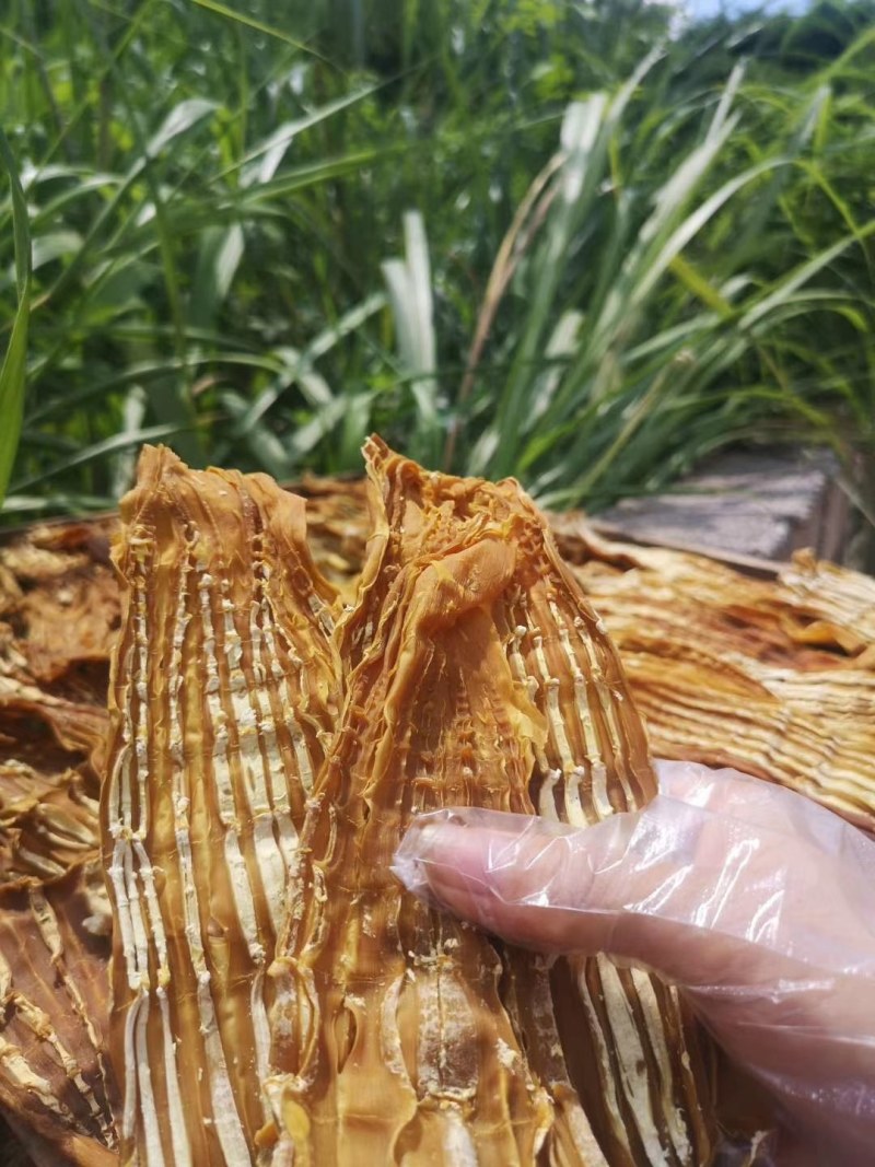 广西桂林笋干2022新鲜笋尖肥厚脆嫩产地直供欢迎咨询