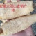 大别山野外仿野生种植天麻