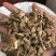百部百步实物拍摄百部保庆药业批发百步
