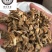 百部百步实物拍摄百部保庆药业批发百步