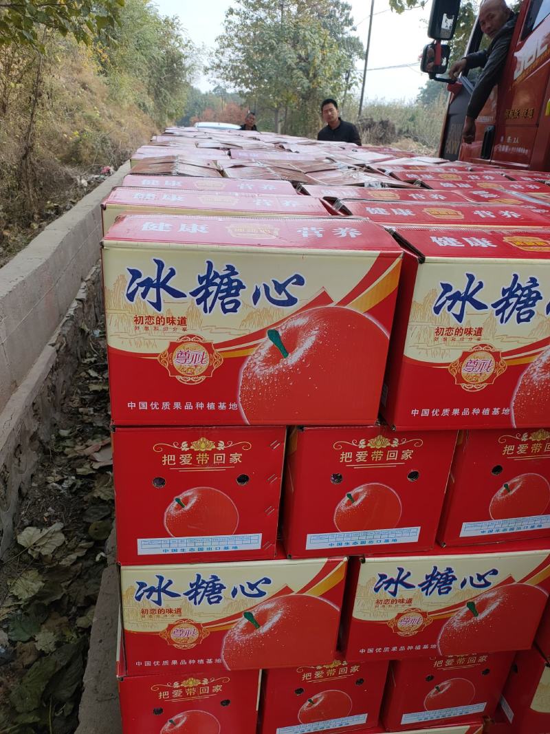冰糖心红富士苹果海量货源大量供应，价格合理质量过硬