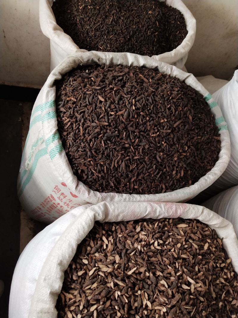 香附子，中药材香附子，批发零售产地一手货源，