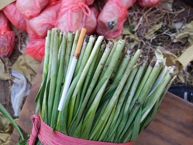 《精品》河北唐山乐亭韭菜大量上市，质量优，货源充足