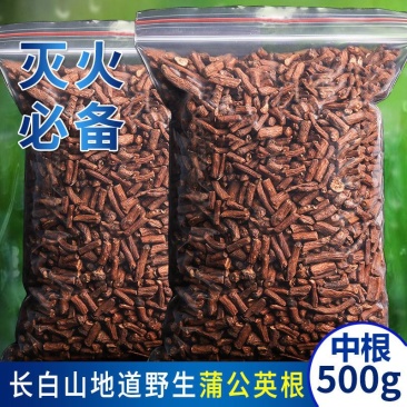 中药材蒲公英根长白山野生500g批发5年老根