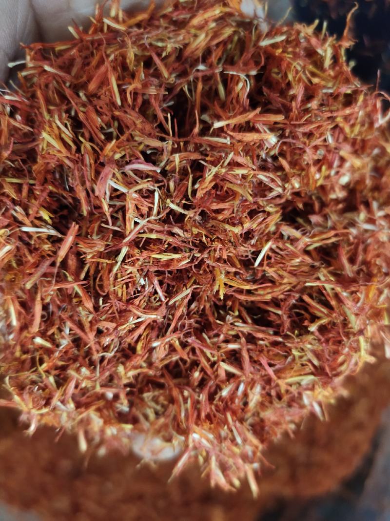 云南红花纯花无枝梗