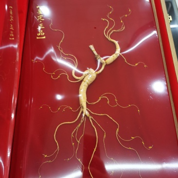 【山参】高龄多年生长山参，品相好，品质保证！欢迎光临本店