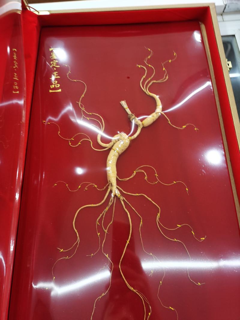 【山参】高龄多年生长山参，品相好，品质保证！欢迎光临本店