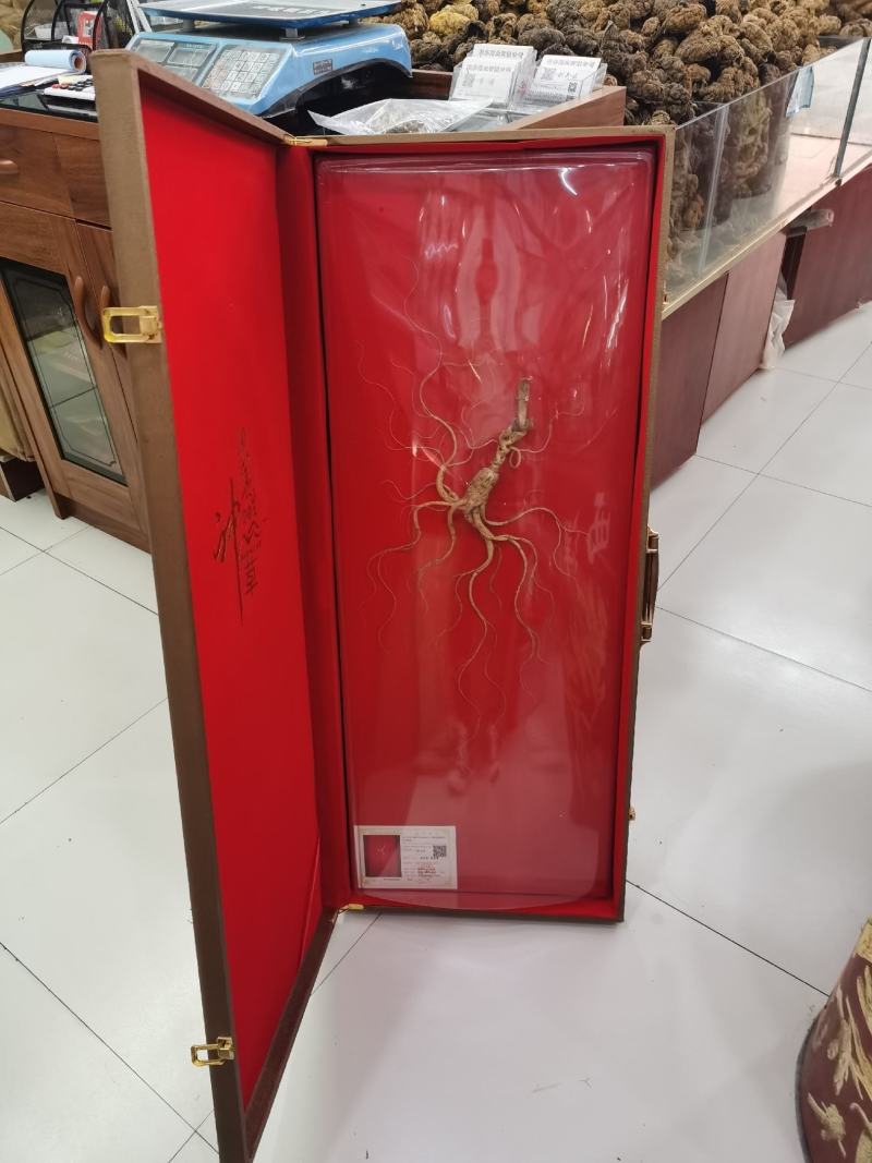 【山参】高龄多年生长山参，品相好，品质保证！欢迎光临本店