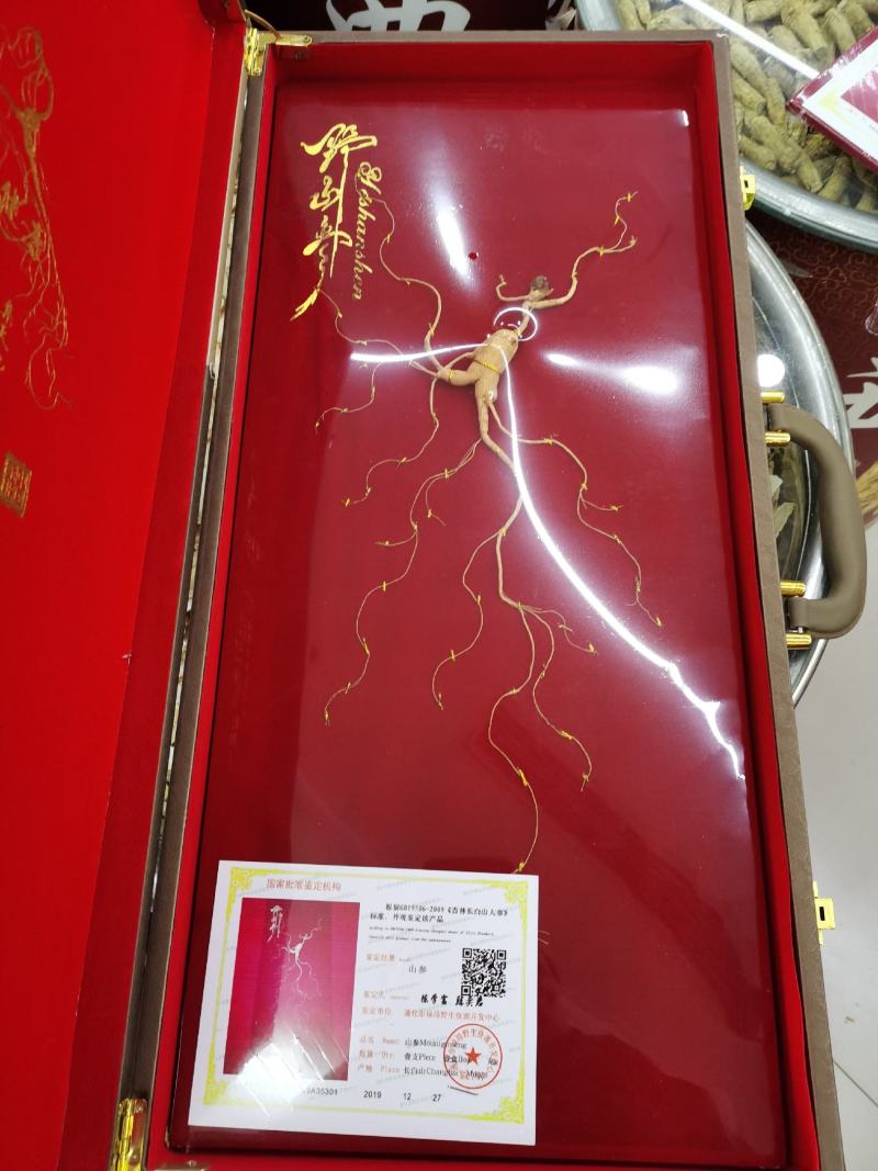 【山参】高龄多年生长山参，品相好，品质保证！欢迎光临本店