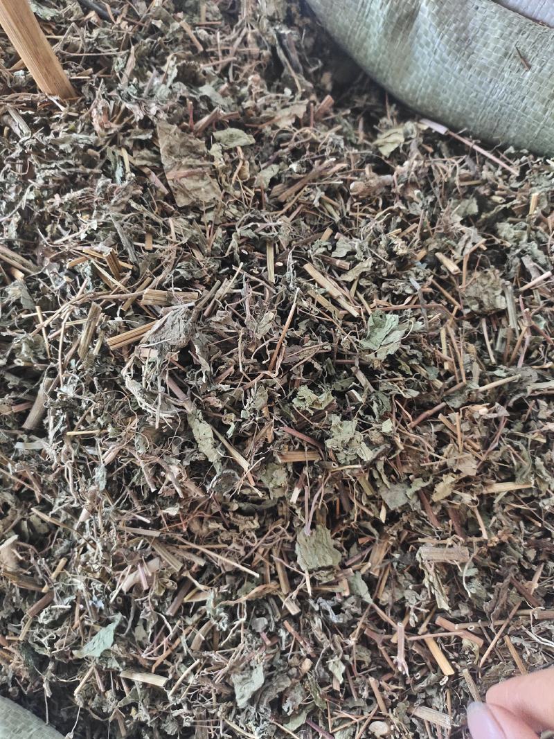 中草药稀签草新货豨签草无杂质