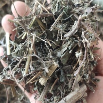 中草药稀签草新货豨签草无杂质