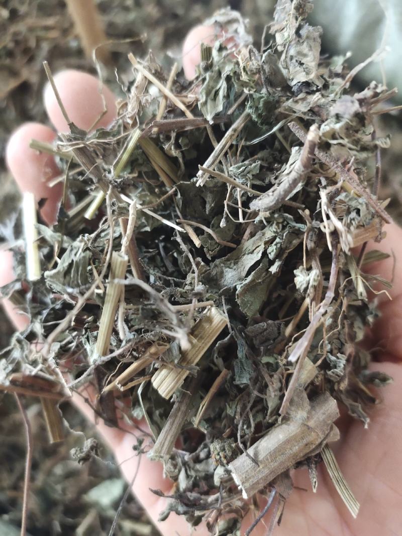 中草药稀签草新货豨签草无杂质
