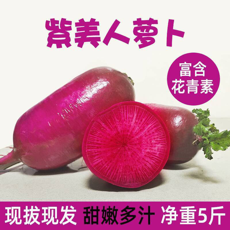 萝卜紫萝卜俗称水果人参一件代发包售后，量大从优
