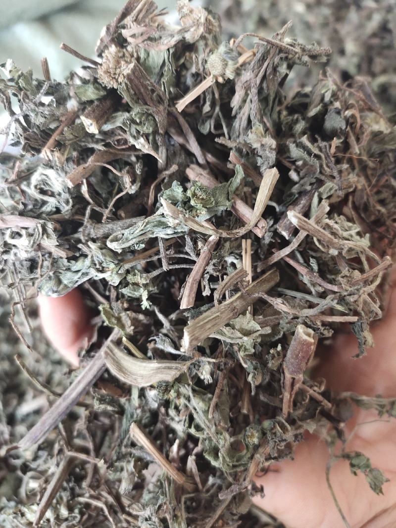 野生旱莲草草药墨旱莲