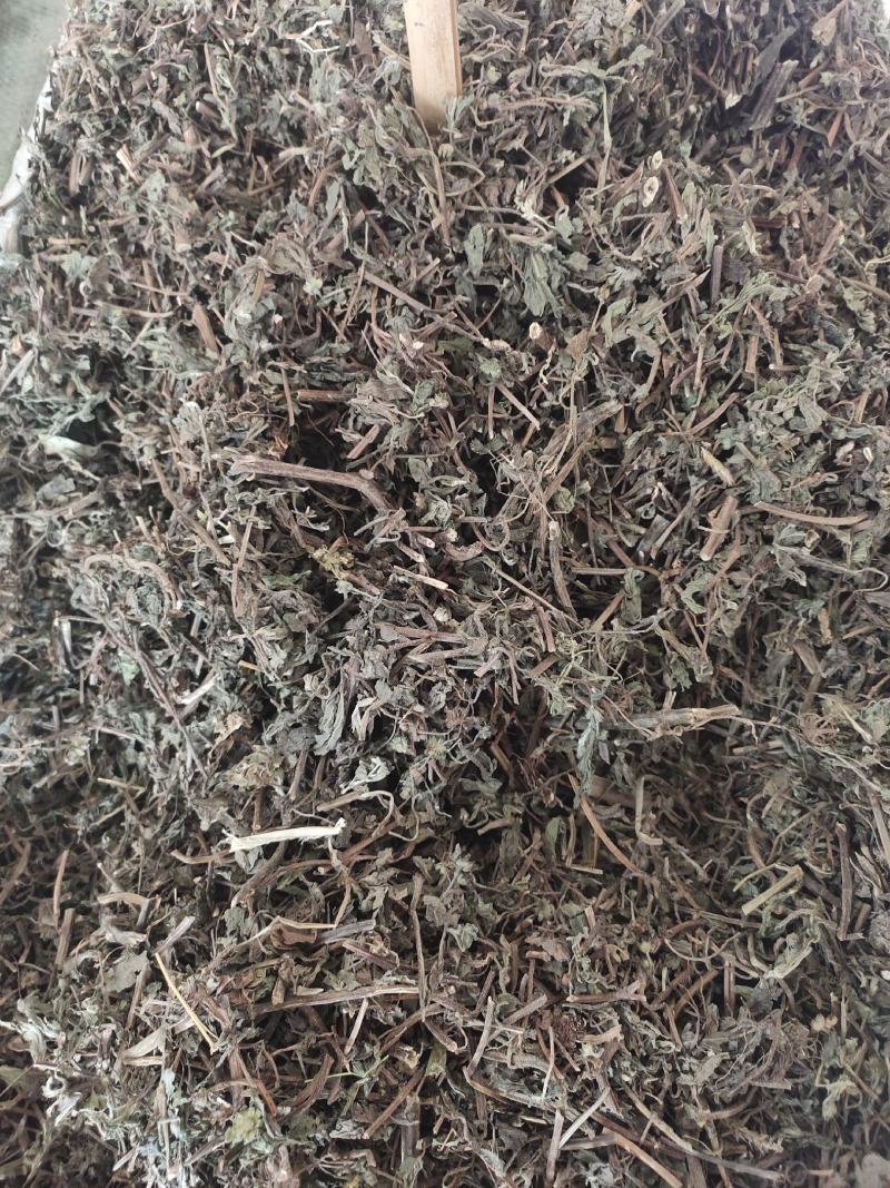 野生旱莲草草药墨旱莲